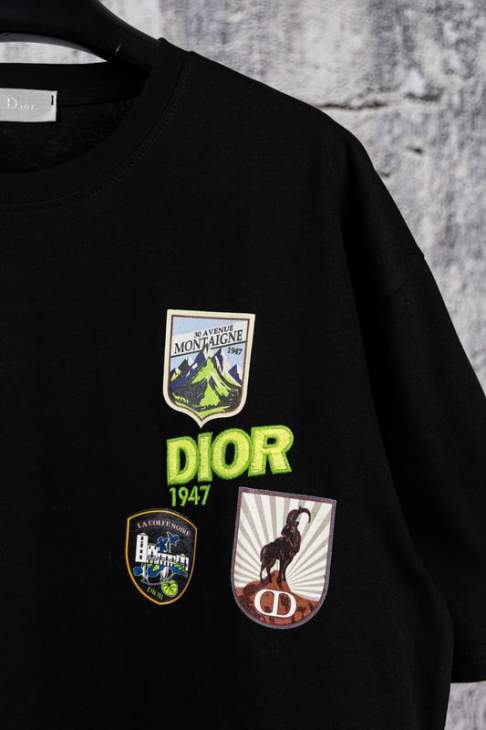 Dior T Shirts Short _SKUDiorS-XLaatx0715795